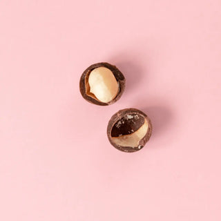 Top view of macadamia nut in a pink background