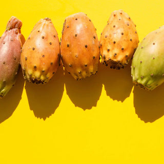 Top view of prickly pears in a yellow background