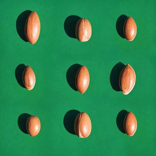 Top view argan nuts in a green background