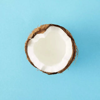 Top view of coconut in a blue background